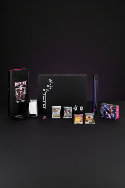 Contenu Coffret Pokémon Rosemary Marnie – Cartes et Boosters Chinois Simplifié